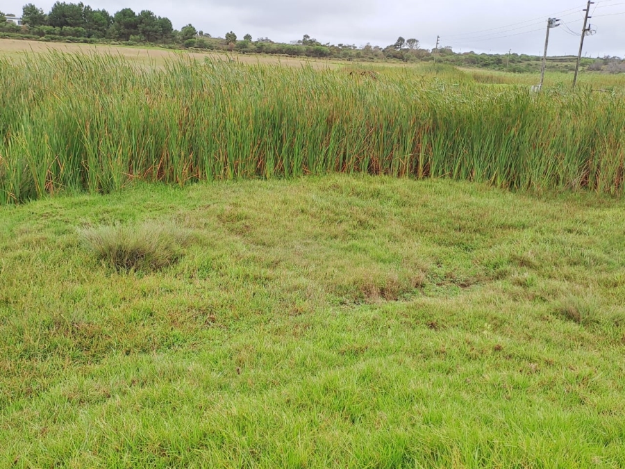 Commercial Property for Sale in St Francis Bay Rural Eastern Cape